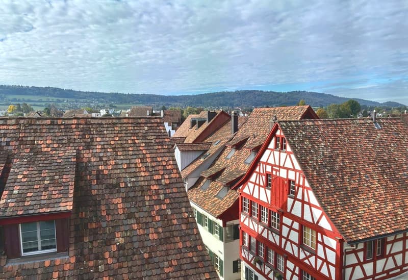 Charmante 3-Zimmer-Dachwohnung mit Sichtbalken und Schwedenofen (13)