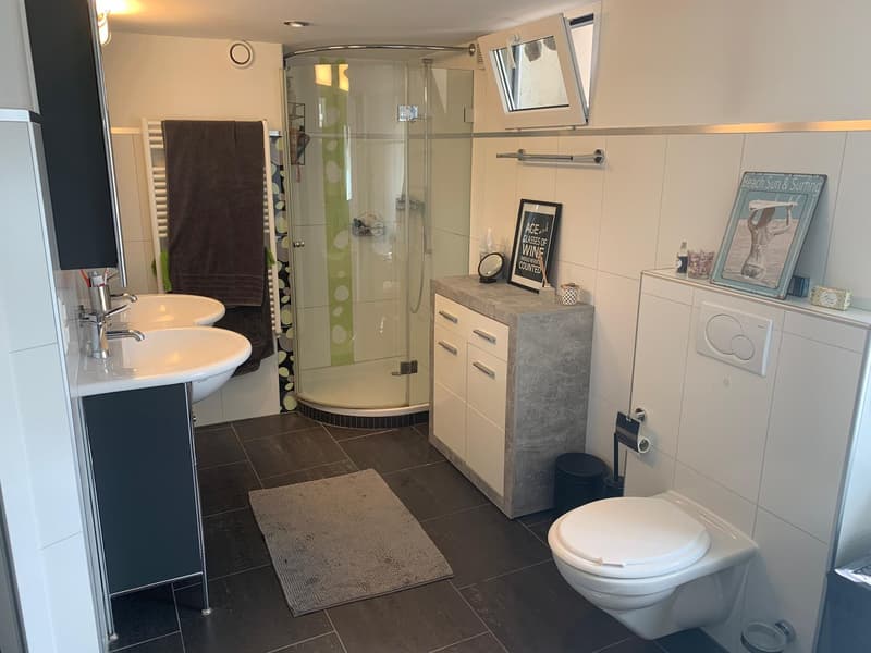 modern bathroom with walk-in shower, double sink, toilet, and a small cabinet