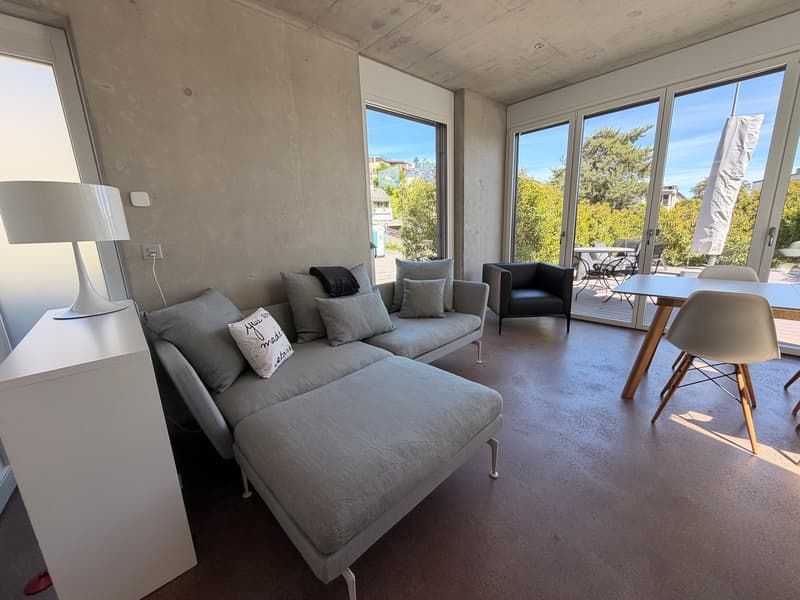 Top modernes und möbliertes Haus auf der Breite /Modern tiny house furnished (4)
