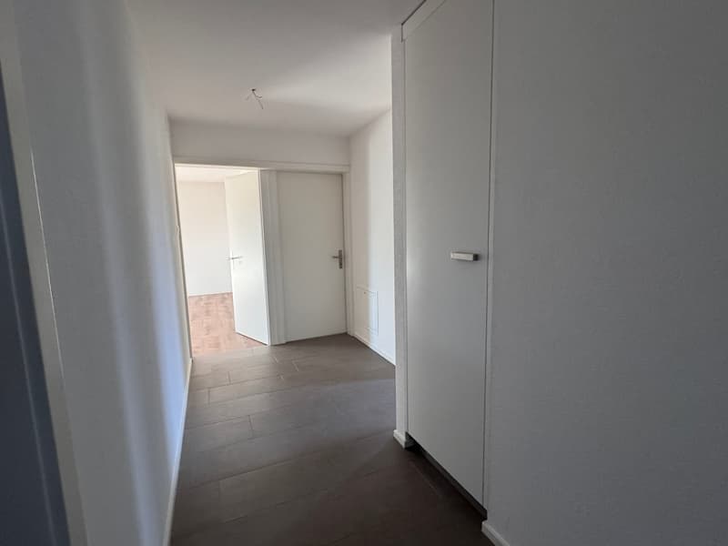 Ampio appartamento di 4 locali con balcone a Schaffhausen-Buchthalen (3)