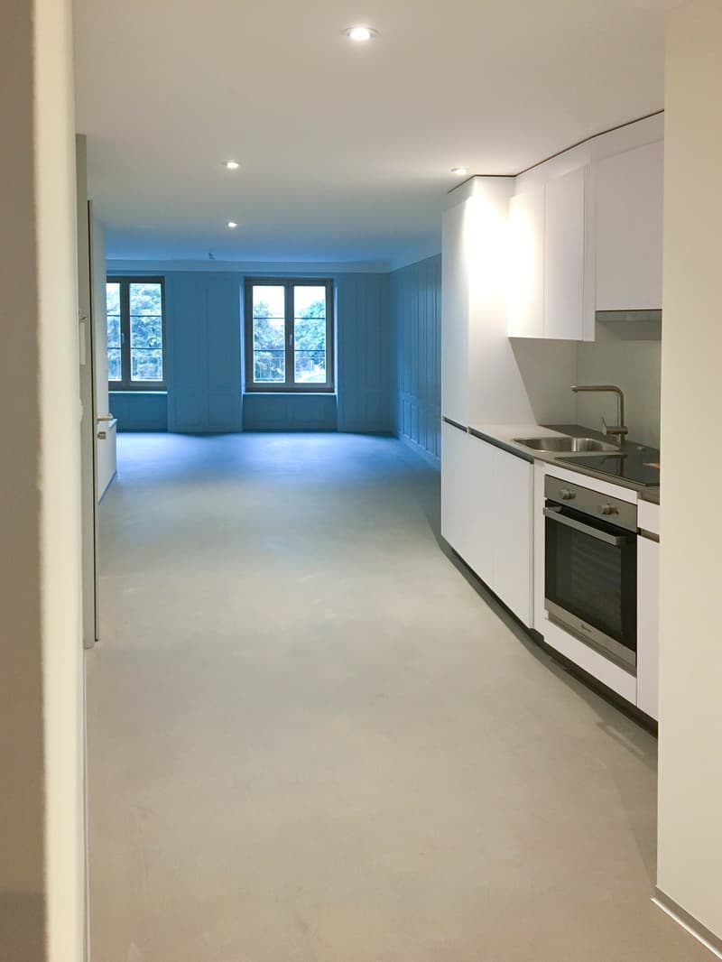 Delizioso appartamento nel centro storico a due passi dal Reno (1)