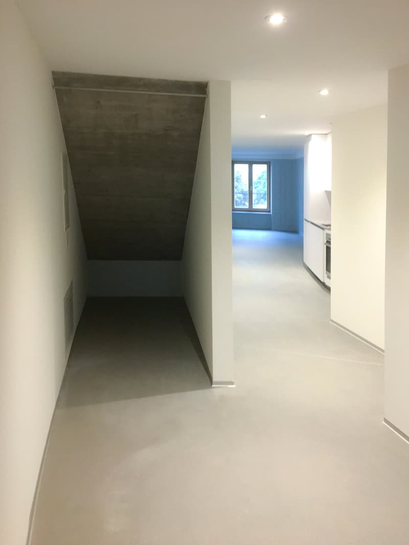 Delizioso appartamento nel centro storico a due passi dal Reno (8)