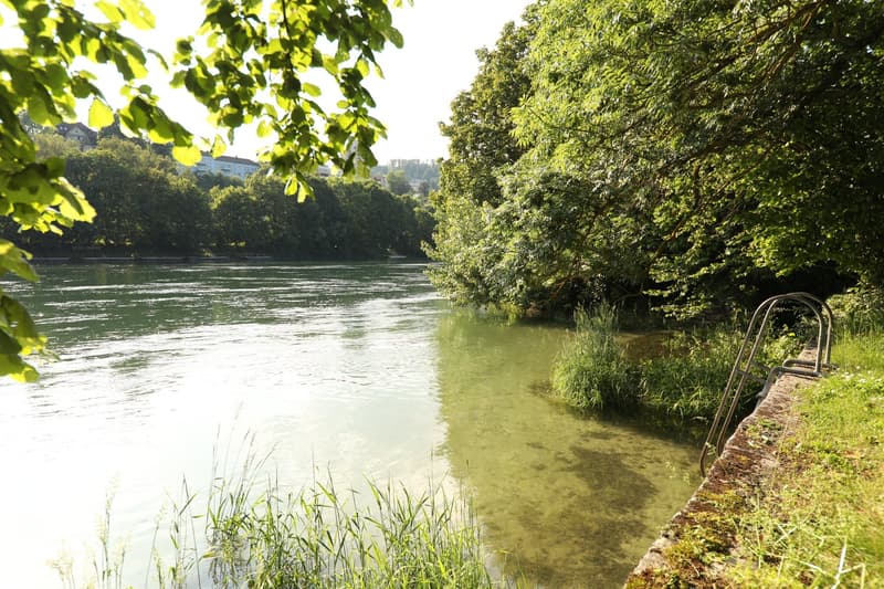 Idyllic living directly on the Rhine (10)