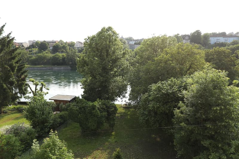 Idyllic living directly on the Rhine (9)