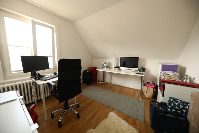 Idyllic living directly on the Rhine (6)