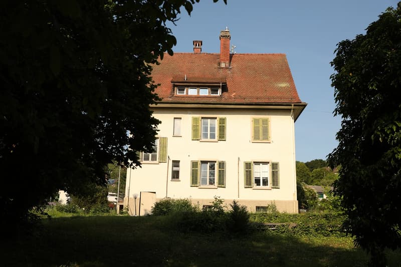 Idyllic living directly on the Rhine (2)