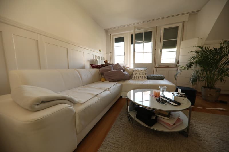 Idyllic living directly on the Rhine (3)