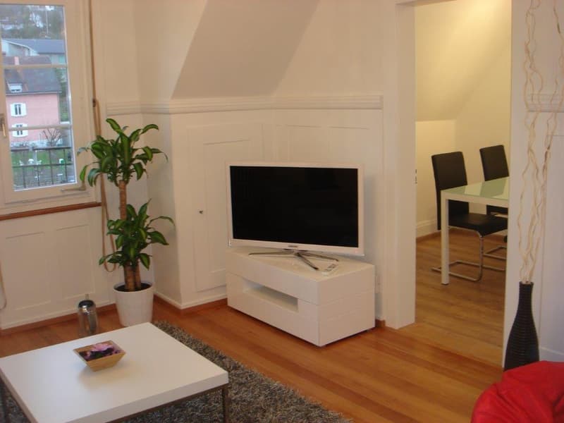 Idyllic living directly on the Rhine (4)