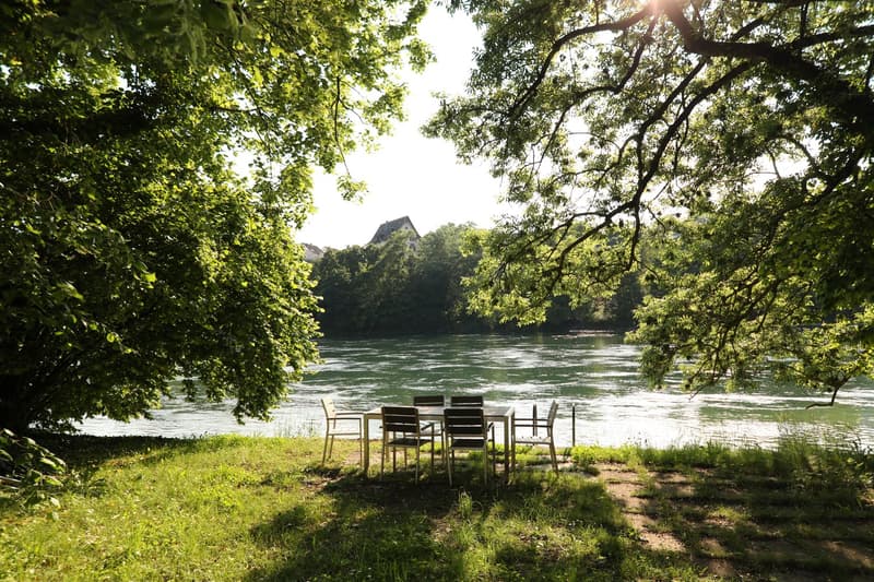 Idyllic living directly on the Rhine (1)