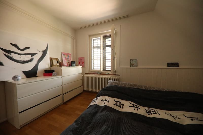 Idyllic living directly on the Rhine (8)