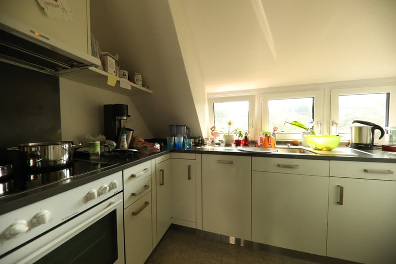 Idyllic living directly on the Rhine (5)