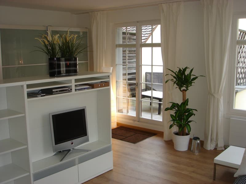 Eine kleine «schmucke» Wohnung mitten im Zentrum Schaffhausen (3)