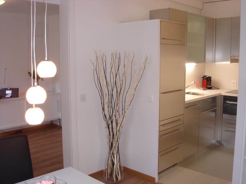 Eine kleine «schmucke» Wohnung mitten im Zentrum Schaffhausen (9)
