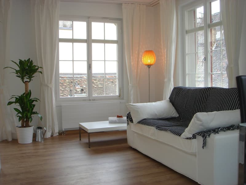 Eine kleine «schmucke» Wohnung mitten im Zentrum Schaffhausen (1)