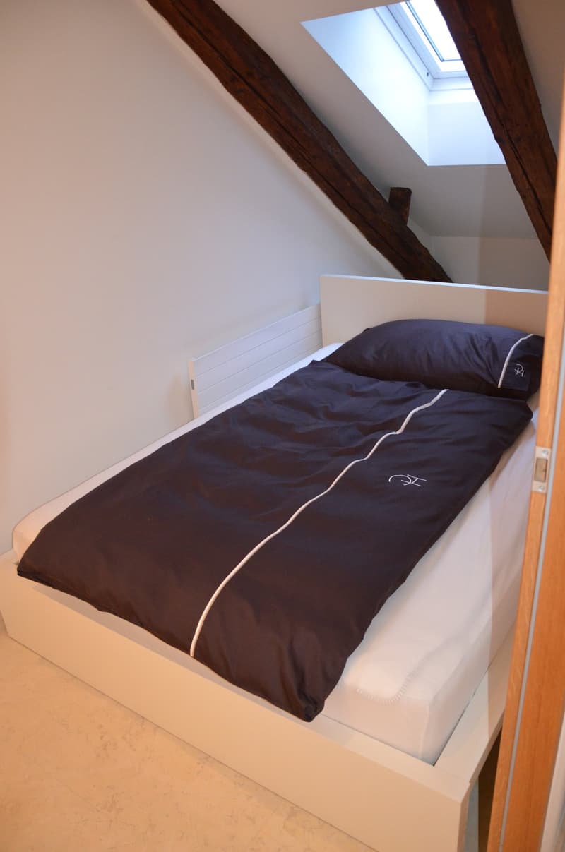 Kleine, praktische und hochwertige Wohnung in der Altstadt (4)