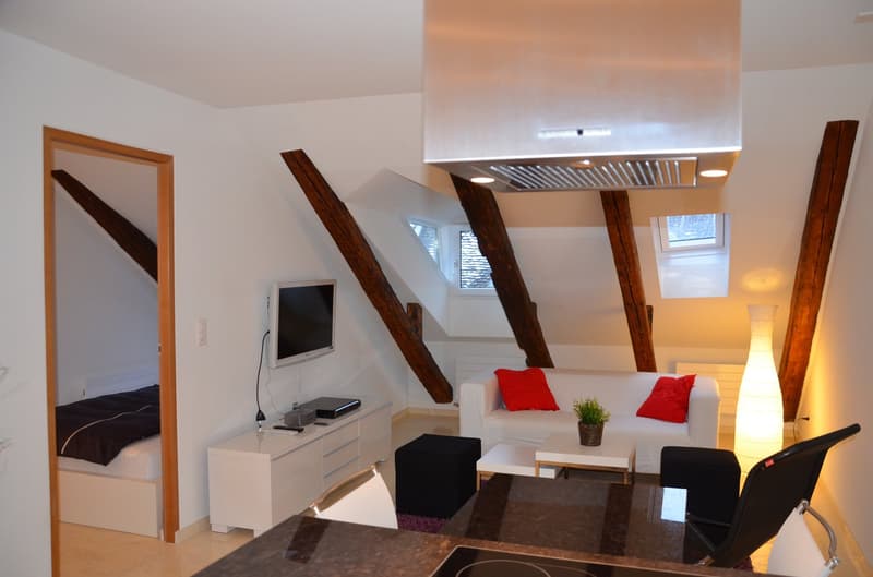 Kleine, praktische und hochwertige Wohnung in der Altstadt (1)