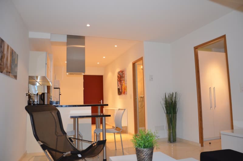 Kleine, praktische und hochwertige Wohnung in der Altstadt (2)