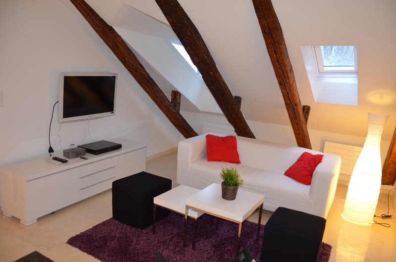 Kleine, praktische und hochwertige Wohnung in der Altstadt (3)