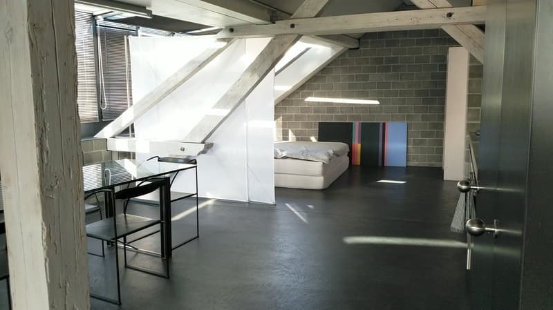 Traumhafte Loft-Wohnung mit Balkon über den Dächern der Altstadt (15)