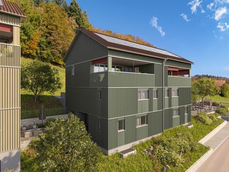 Einfamilienhaus mit Panoramadachgeschoss (3)