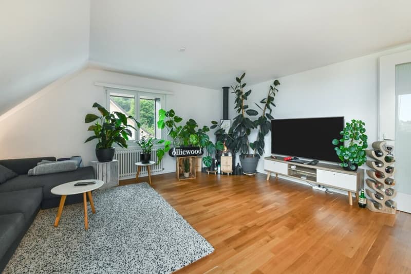 Einfamilienhaus mit Einliegerwohnung, PV-Anlage & 10 Zimmern - ideal für Familien (16)
