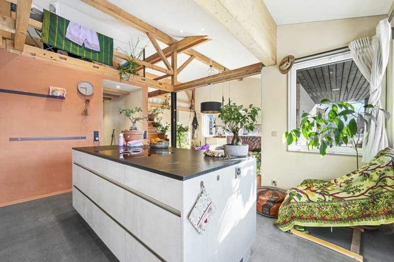 Nachhaltiges-Stilvolles Einfamilienhaus mit Einliegerwohnung an ruhiger Lage (2)