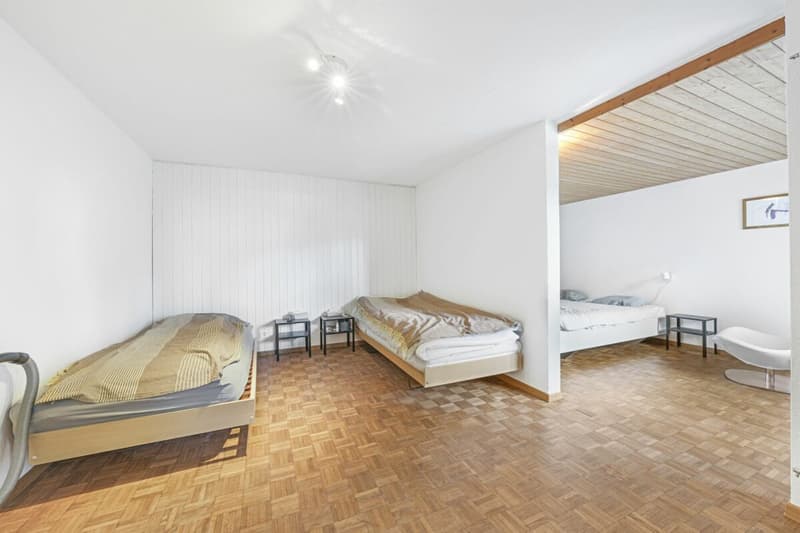 Nachhaltiges-Stilvolles Einfamilienhaus mit Einliegerwohnung an ruhiger Lage (16)