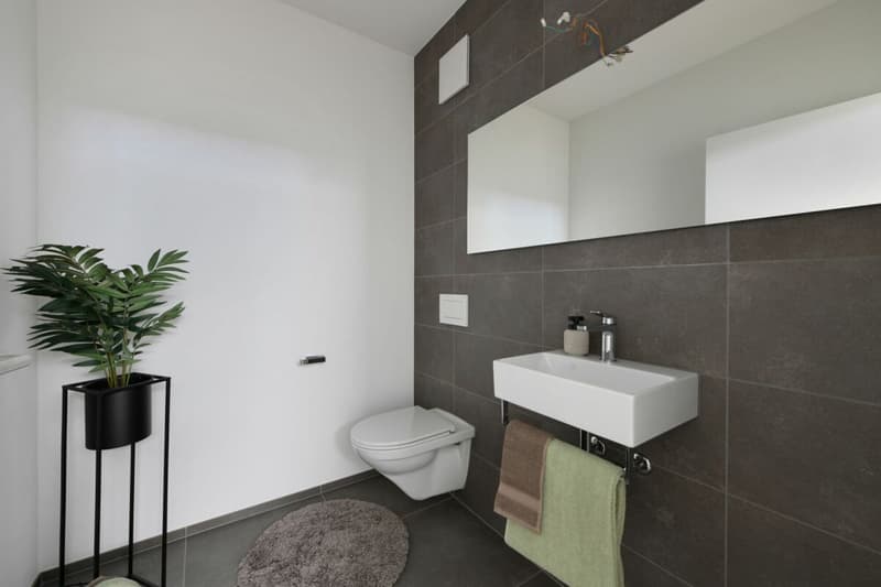 Your personal family dream home. (11)