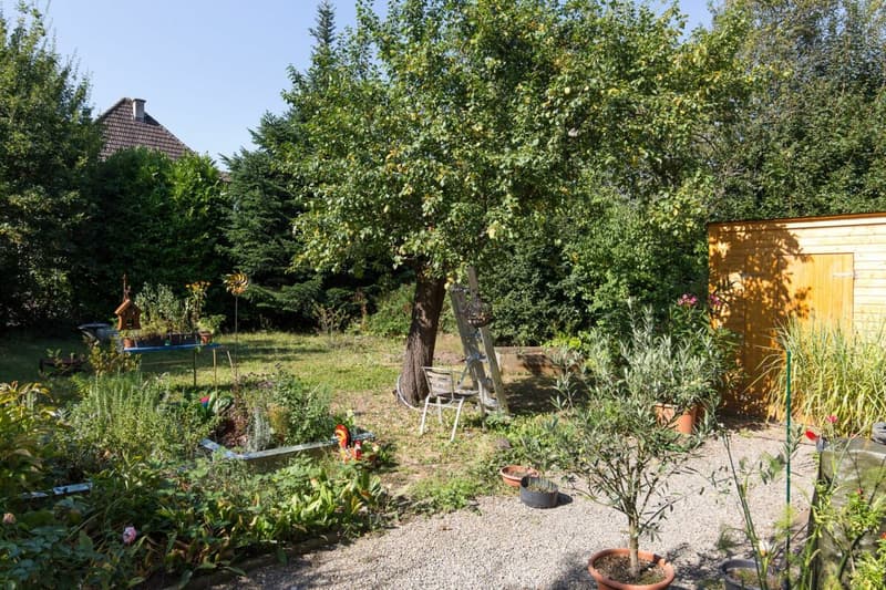 heimelige 2.5 Zimmerwohnung in Wettingen zu vermieten (1)