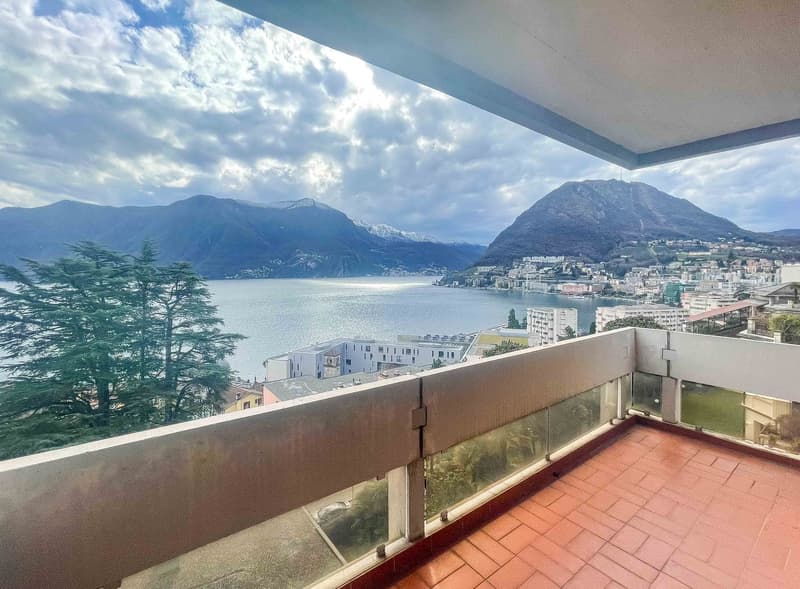 2.5 locali con splendida vista lago a Lugano (1)