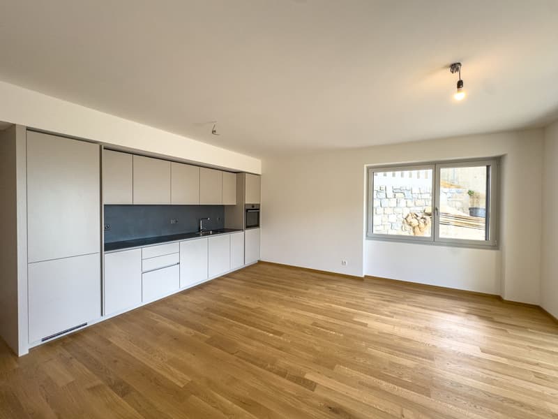 Appartement moderne 3.5 pièces avec vue sur le lac, construction neuve à Massagno (3)