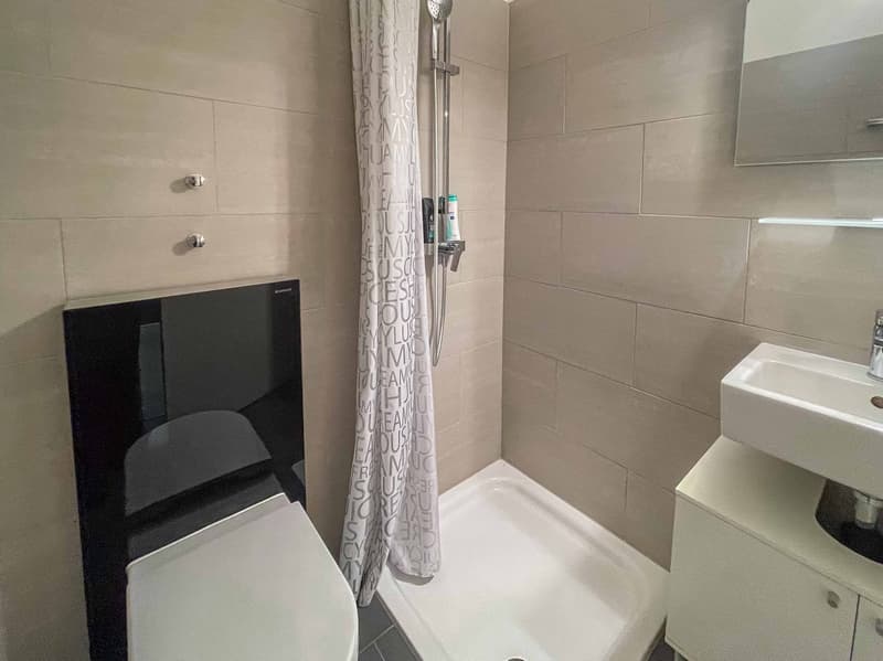 Appartement spacieux 4.5 pièces à Lugano (7)