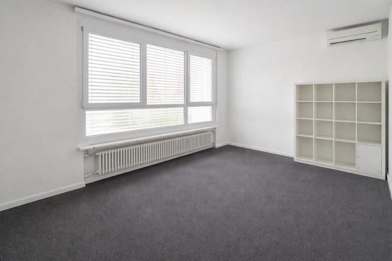 Appartement spacieux 4.5 pièces à Lugano (2)