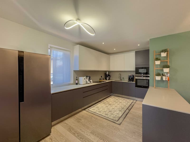 Maison bifamiliale avec grand jardin à Morbio Inferiore (3)