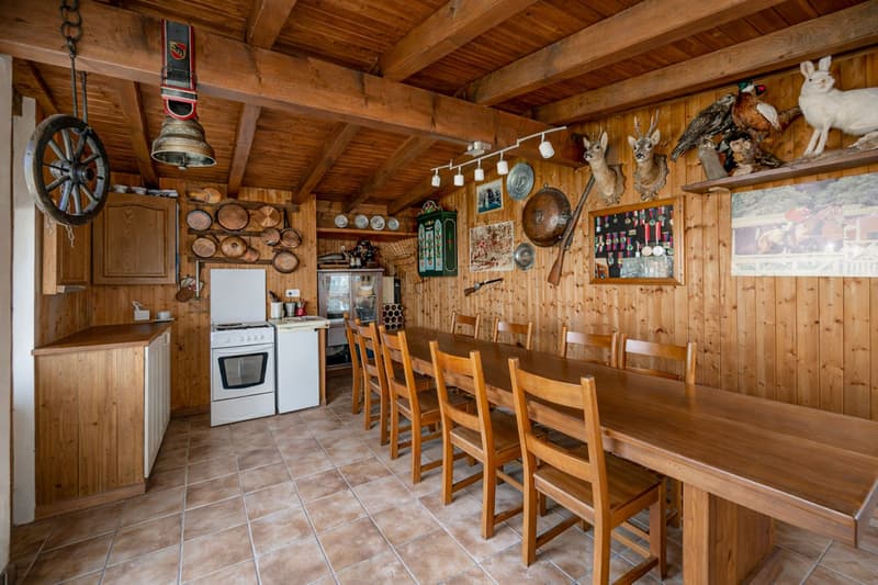 Zweifamilienhaus in Vezia (15)