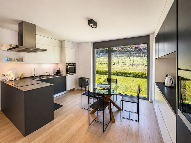 Appartement avec vue sur le lac à Riva San Vitale, également pour non-résidents (2)