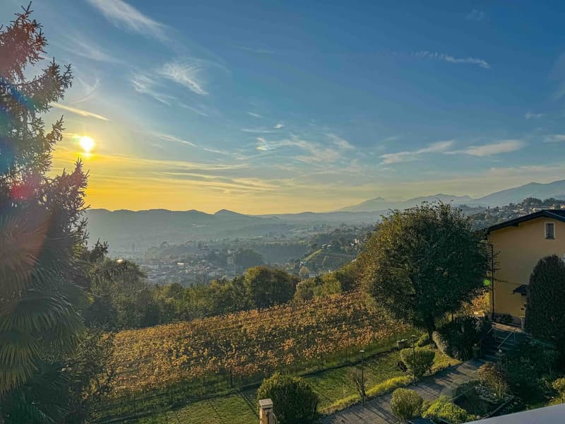Villa with large garden and open view in Morbio Superiore (5)