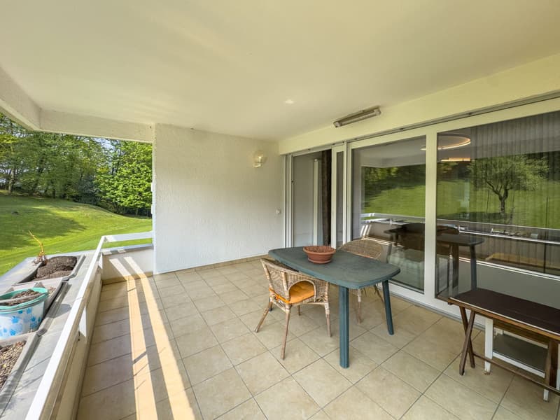 Spacious apartment with lake view in Carona (10)