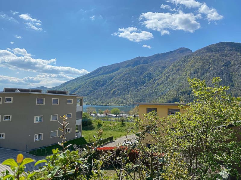 two buildings with multiple windows, mountain, water in background