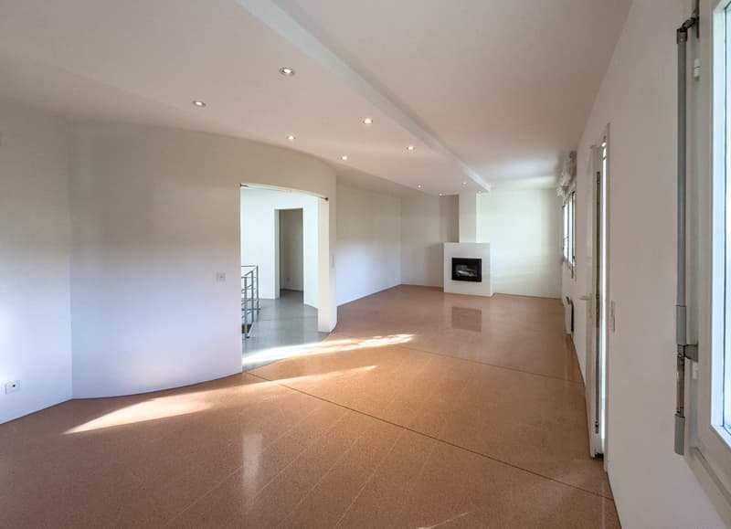 House with garden in Dino - Lugano (3)