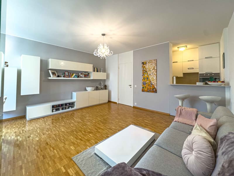 2,5 Lokale in der Nähe des Zentrums von Lugano (3)
