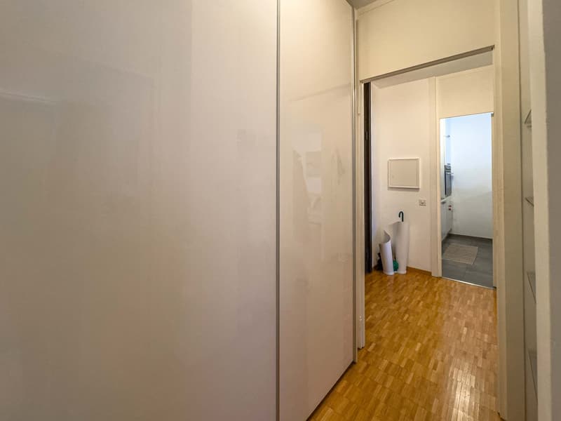 2,5 Lokale in der Nähe des Zentrums von Lugano (5)