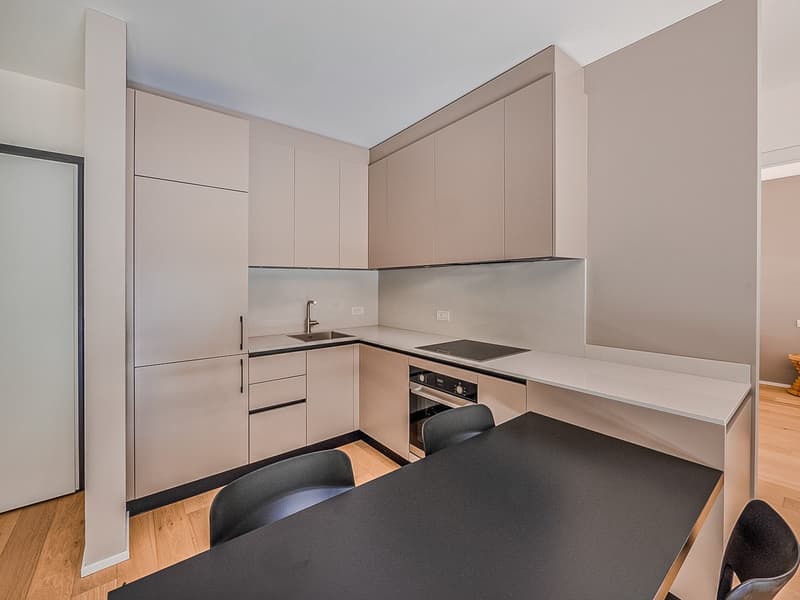 Modernes 2,5-Zimmer-Apartment in Chiasso (3)