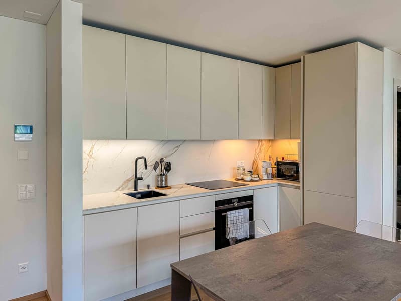 Modernes 2.5-Zimmer-Wohnung mit Terrasse in Canobbio (3)