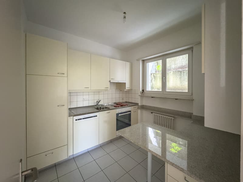 Wohnung 3.5 Zimmer in Lugano (3)