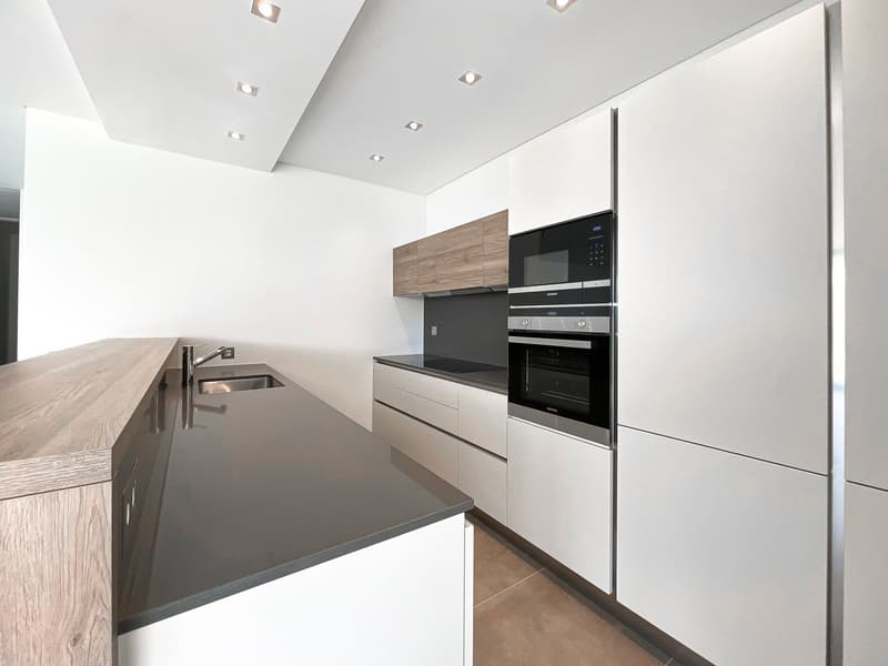 Modernes 3.5-Zimmer-Apartment in Comano (2)