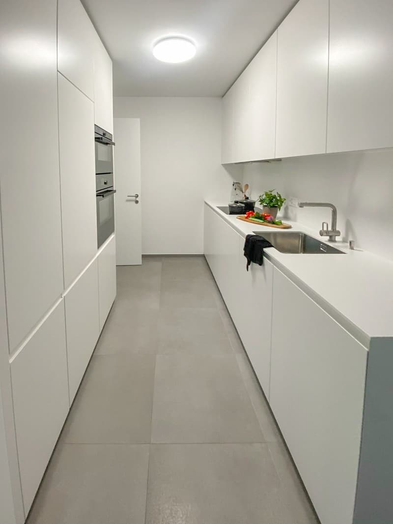 Modernes 3.5-Zimmer-Wohnung mit Garten in Bellinzona (2)