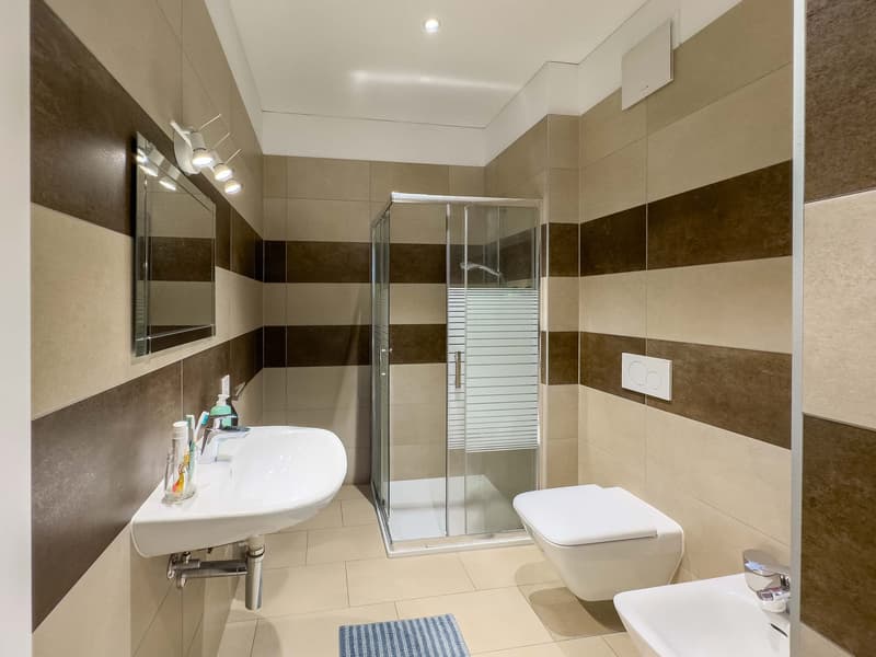 Modern 2.5-room apartment near the city center (5)