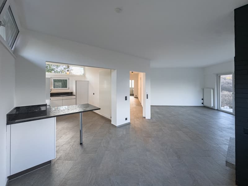 Detached house with garden in Breganzona (1)