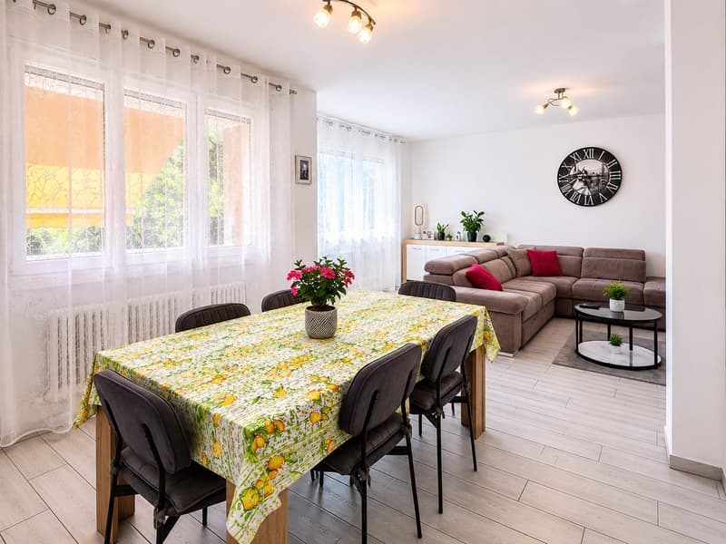 Wohnung 4.5 Zimmer mit Terrasse in Ligornetto (3)